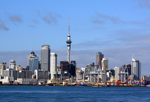 企业定制版的在线ddos网页端